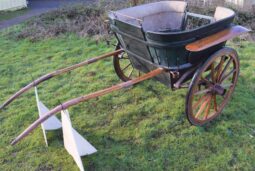 Governess Cart Horse Carriage by Offord and Sons by London, Carriage 4 #508 full